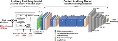 Deep Neural Network Model of Hearing-Impaired Speech-in-Noise Perception